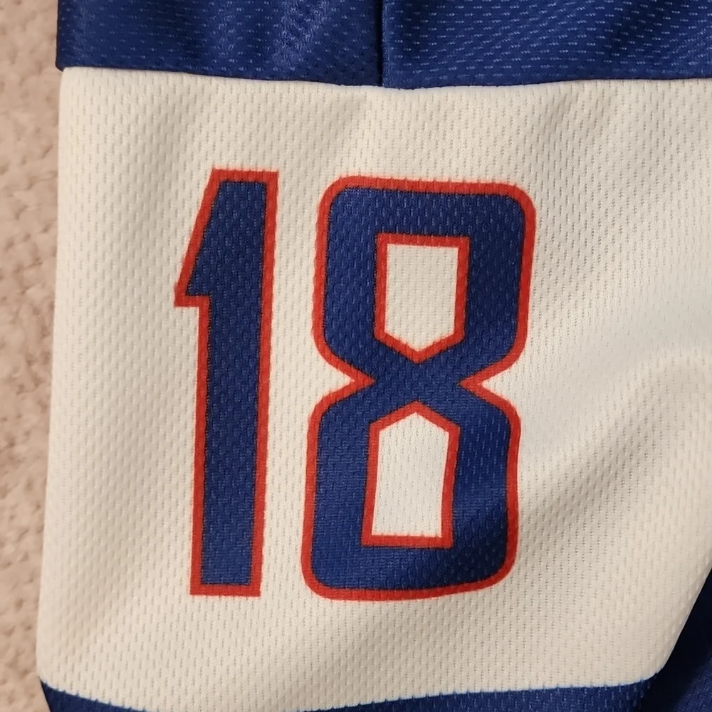 Miroslav Satan Szl'h Sloviklia National Hockey Team Jersey - Picture 2 of 3